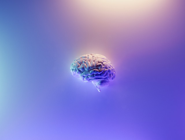 Remember everything you learn by building a second brain